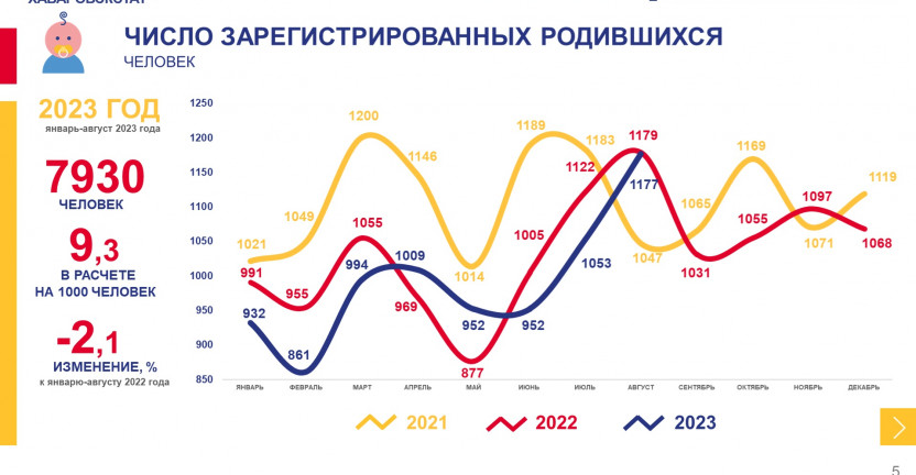Демографические показатели Хабаровского края за январь-август 2023